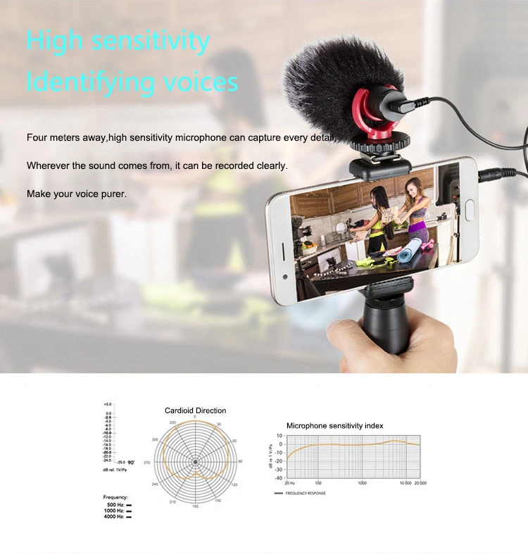 Hot Sale High Sensitivity Microphone for Interview Photography and Vlog