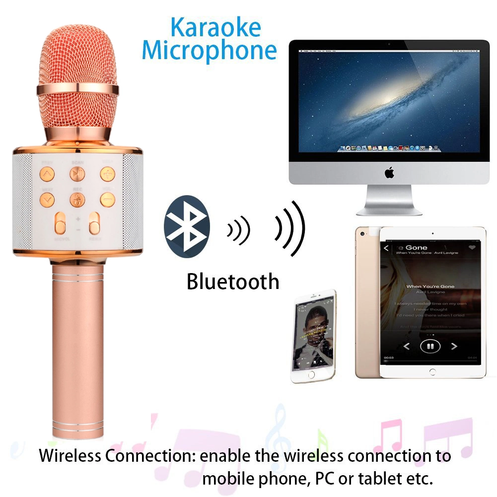 New Portable Bluetooth Wireless Ws-858 Stereo KTV Karaoke Microphone Support TF Card for Samrt Phone