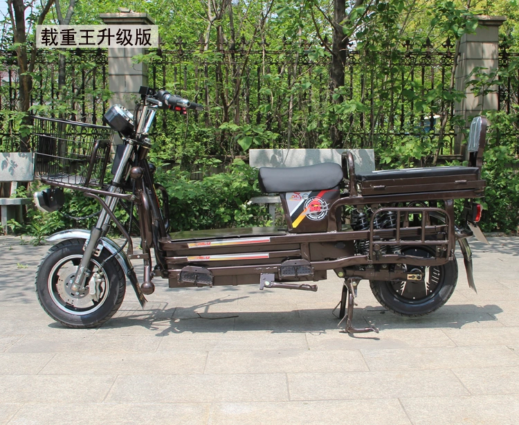 China Electric Scooter with Goods Shelf