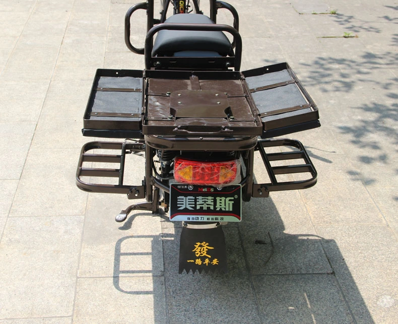 China Electric Scooter with Goods Shelf