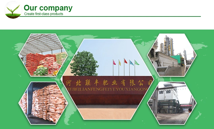 Chinese Supply for High Quality of Mono Ammonium Phosphate Map 12-61-0