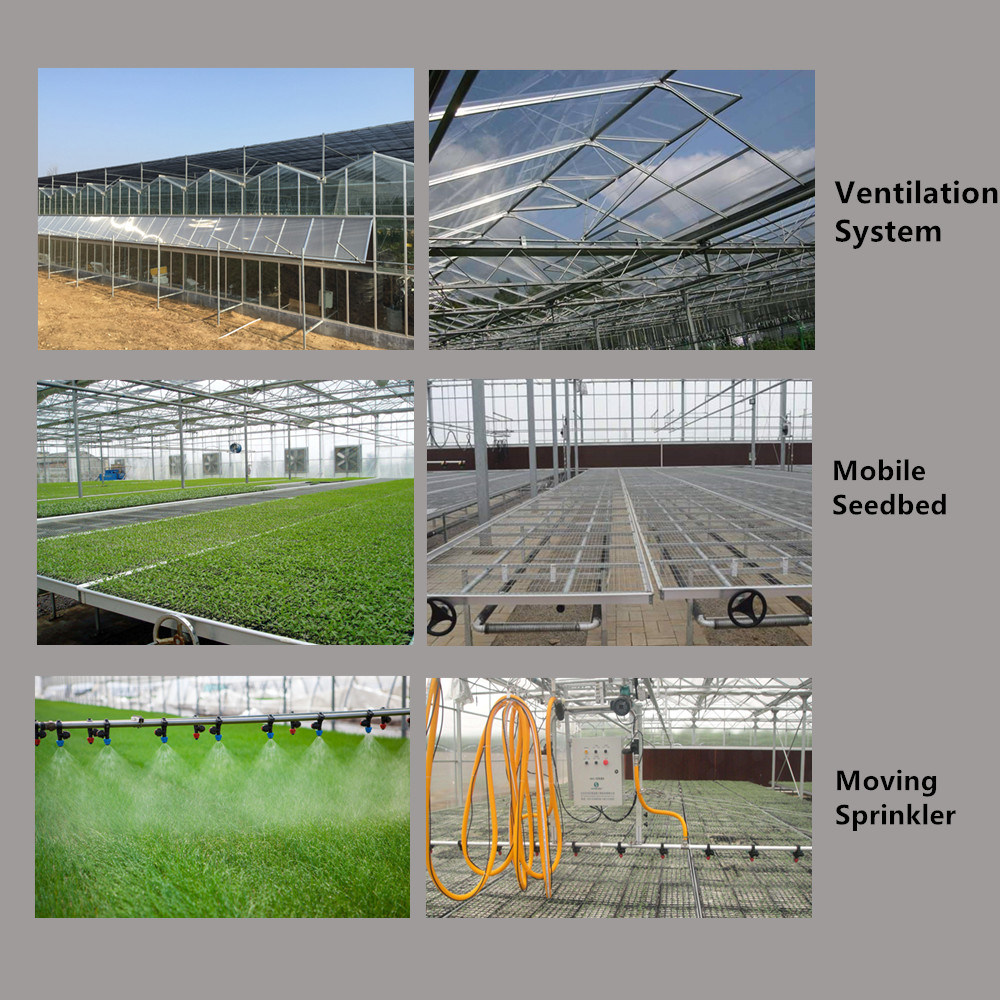 Agricultural Greenhouse with Hydroponics Growing Nutrients Systems