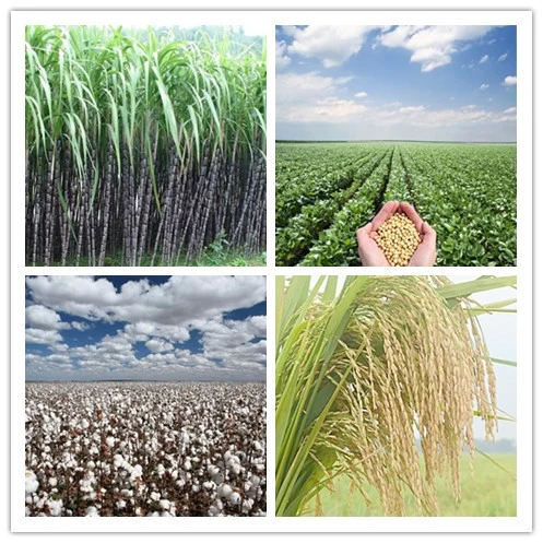 593-50-0 Foliar Fertilizer Plant Growth Regulator Triacontanol 90%Tc 1.5%Ep