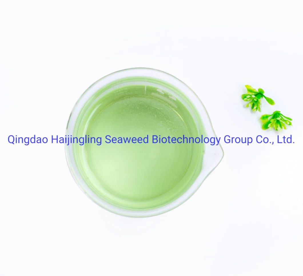 Water Soluble Solid Organic 40% Micro-Particle Green Seaweed Extract Fertilizer
