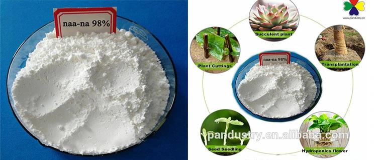 China Wholesale Rooting Fertilizer Plant Hormone Na-Naa 98%Tc