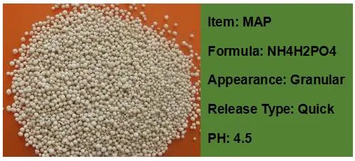 Wholesale Monoammonium Phosphate Granular Phosphate Fertilizer Map 12-61-0