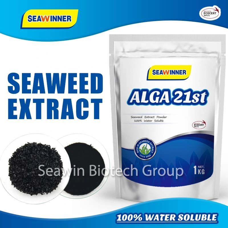 100% Watel Soluble Seaweed Extract Organic Foliar Powder/Flake Fertilizer