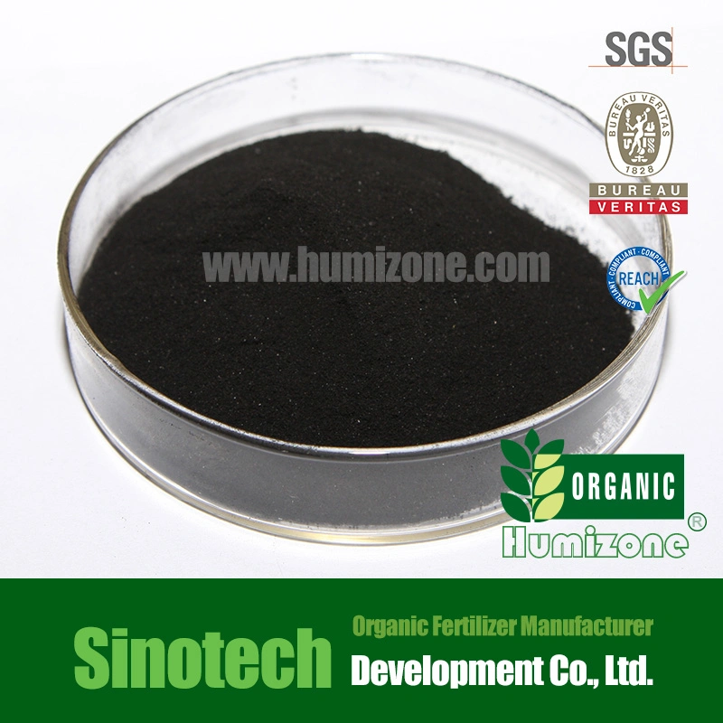 Humizone Nutrients Fertilizer: Seaweed Extract Powder (SWE-P)
