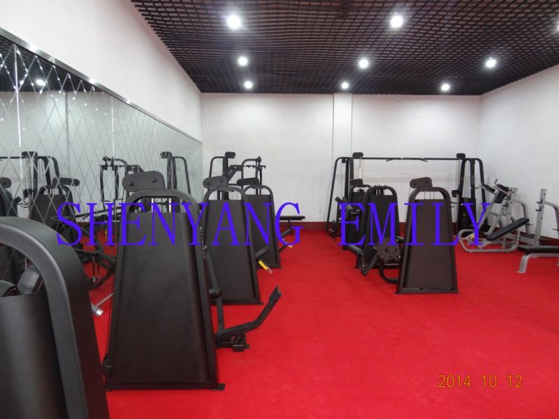 Ce Certificated Precor Gym Equipment / Smith Machine (SD40)