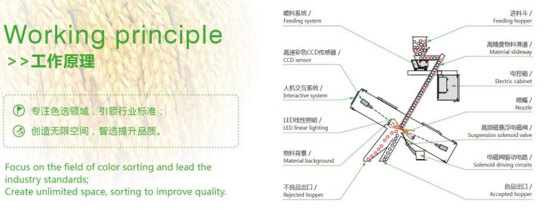 Flax Seeds Color Sorter Machine Seeds Optical Sorting Machine