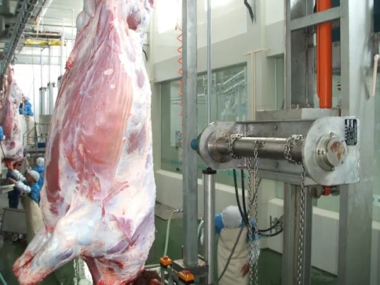 Efficient in Operation Beef Tripe Cleaning Machine for Cleaning The Offal of The Cow