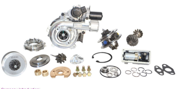 Borgwarner Gasoline Turbo K03 53039880105 Turbocharger 06f145701d 53039700105 for Audi, Seat, Skoda, Volkswagen