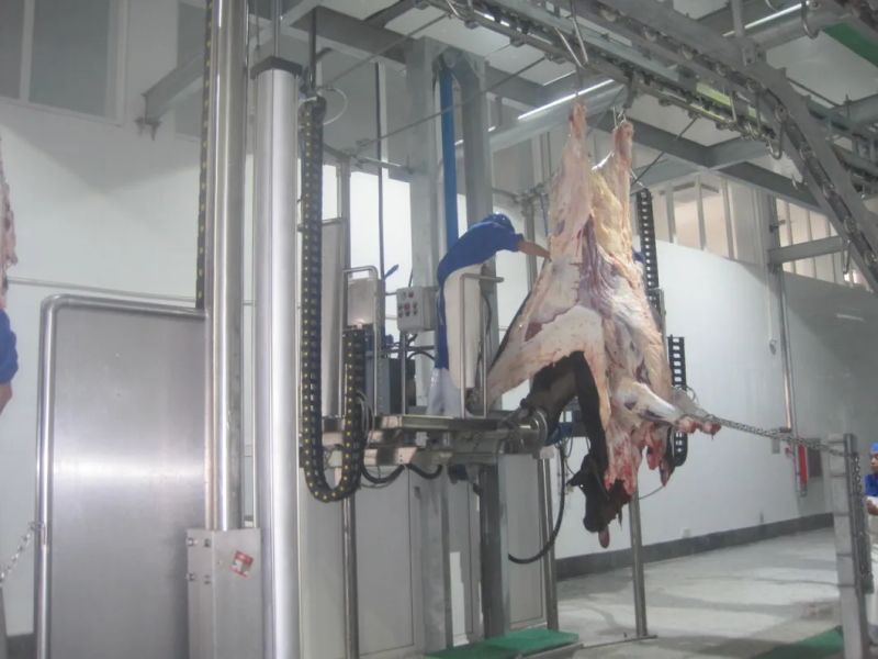 Efficient in Operation Beef Tripe Cleaning Machine for Cleaning The Offal of The Cow