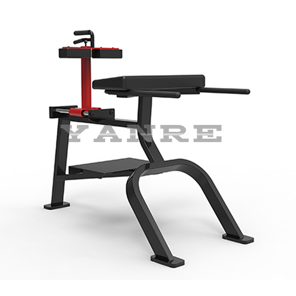 Plate Loaded Back Extension Hammer Strength Gym Fitness Equipment