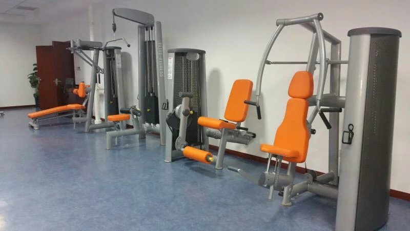 Certificated Gym80 Gym Machine / Leg Extension (SL05)
