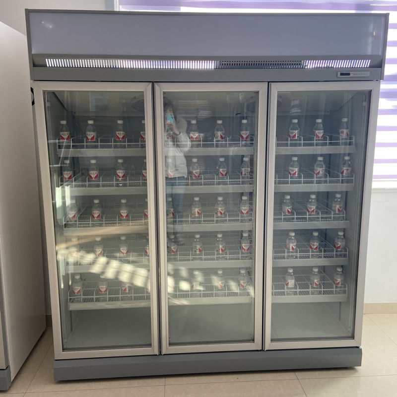 Commercial Refrigerator Refrigeration Equipment Beverage Cooler