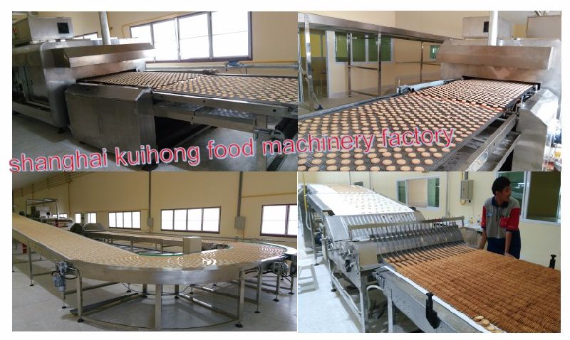 Kh Ce Approved Biscuit Forming Machine/Biscuit Drop Machine