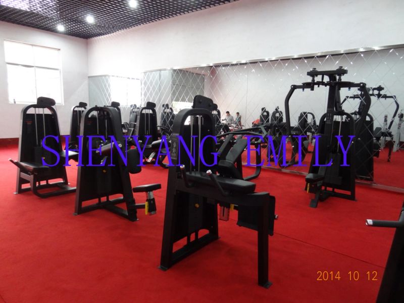 Ce Certificated Precor Gym Equipment / Smith Machine (SD40)