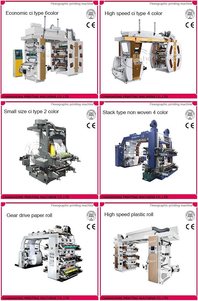 The Best-Selling 2 Color Flexo Printing Machine Press on Plastic Bag (CE)