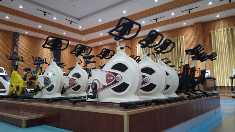 Popular Cardio Machines / Classic Rowing Machine/Rower/Indoor Exercise Bike/Fitness Equipment/ Gym Machine