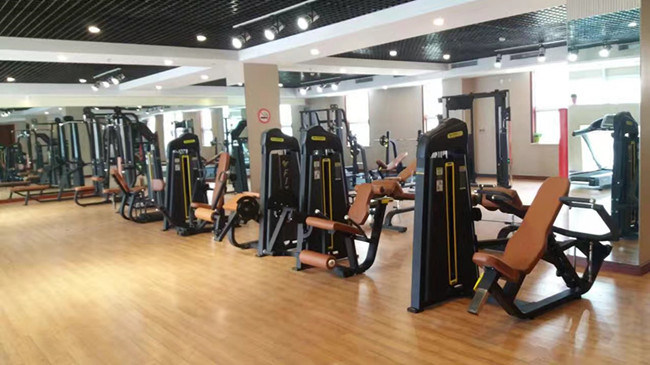 Home Gym Fitness Equipment Accessories Weights Lifting Training Fixed Rubber Dumbbell