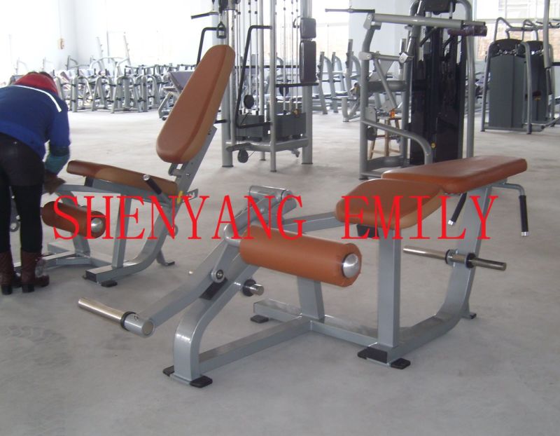 CE Approved Nautilus Exercise Equipment / Compound Row (SW-2016)