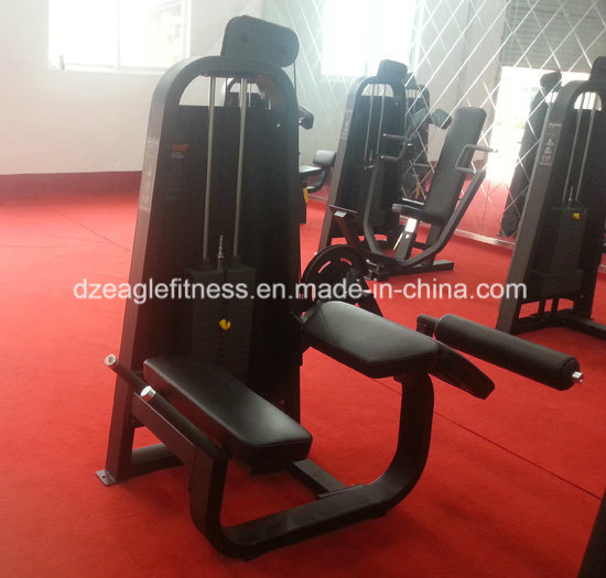 Dezhou Factory Precor Gym Fitness Equipment for Vertical Row