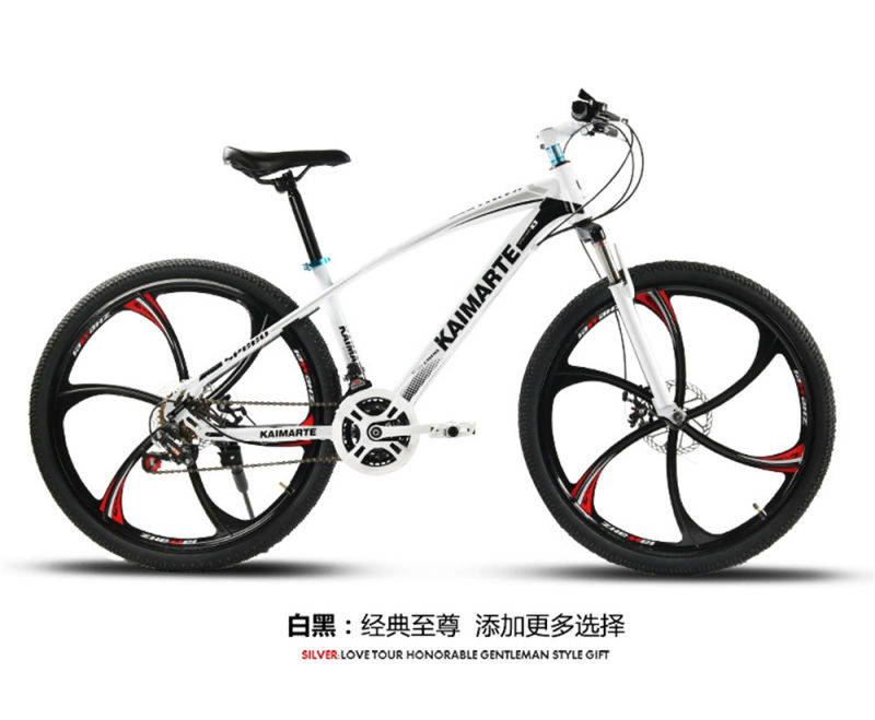 New Style Sport Cheap Mountain Bicycle Bike