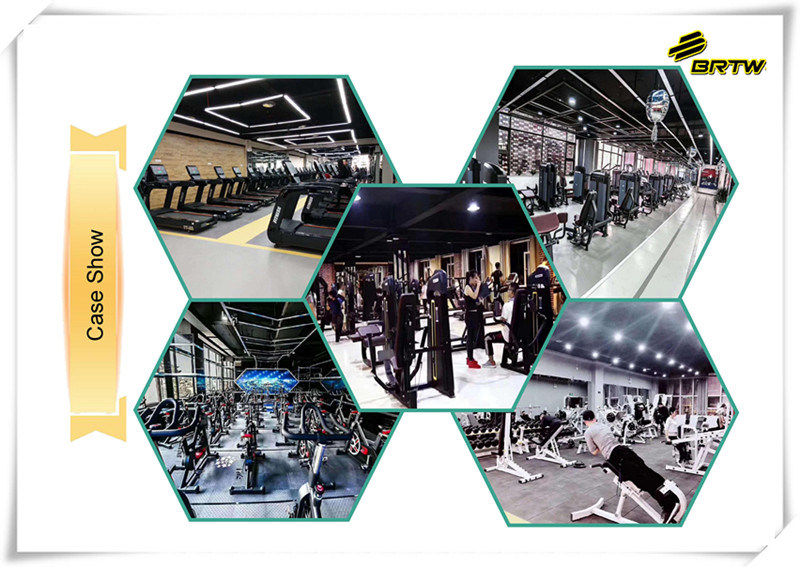 Brtw Fitness Commercial Fitness Equipment TM25 Low Row with SGS Certificate