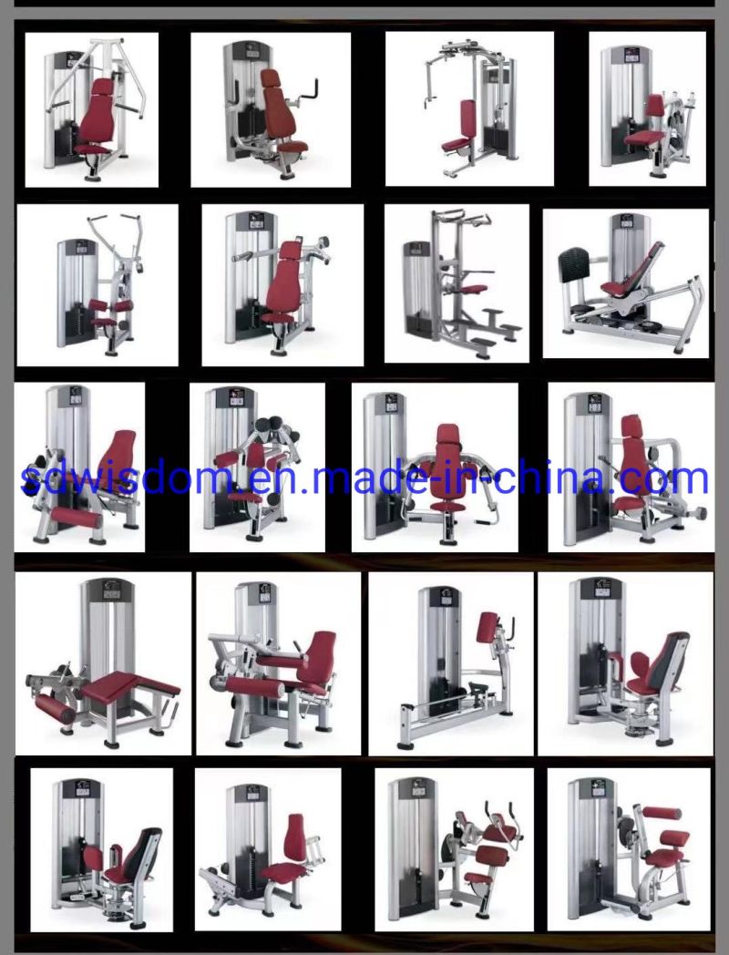 Ll5009 Gym Fitness Machine Commercial Sport Equipment Seated Row for Home Exercise