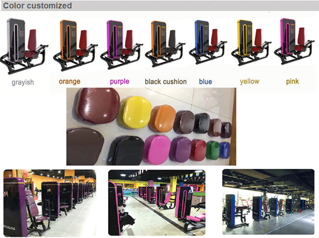 Exercise Commercial Colorful Sports Body Building Fitness Gym Equipment / Gym