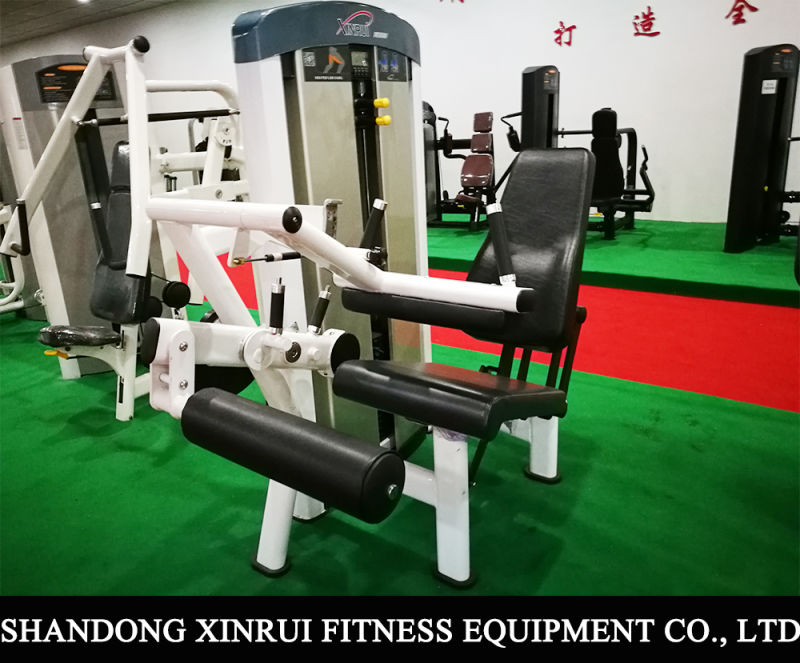Fitness Equipment / Gym Equipment / Seated Leg Exercise / Seated Leg Curl
