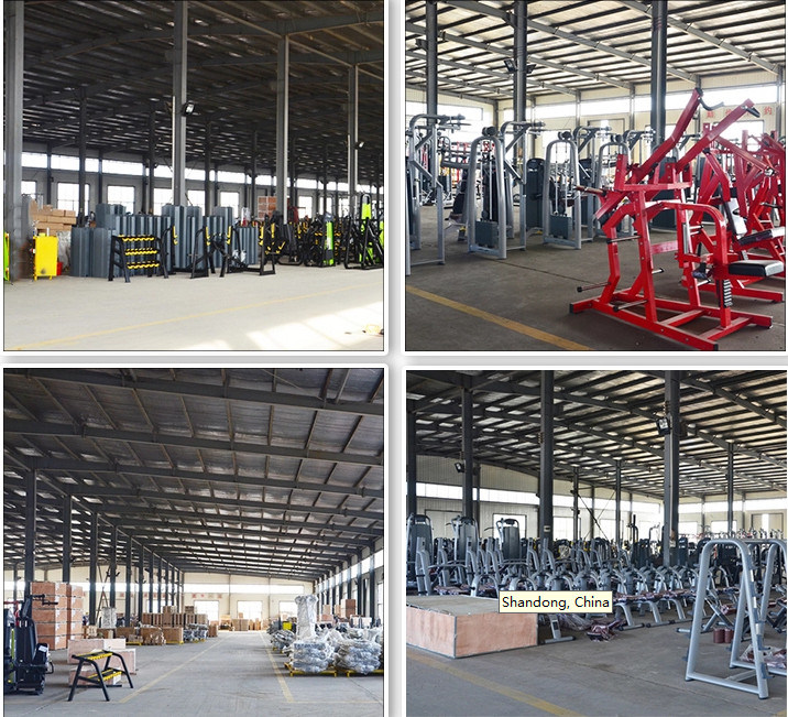 China Manufacture Supplied Gym&Commercial Fitness Equipment Prone Leg Curl
