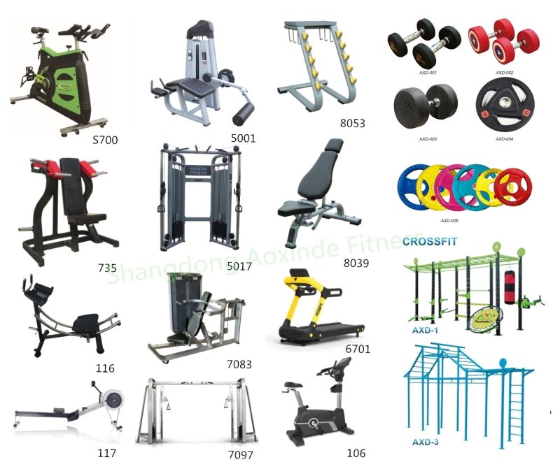 Professional Fitness Equipment Commercial Fitness Equipment Mini Functional Trainer for Gym (AXD-8017)