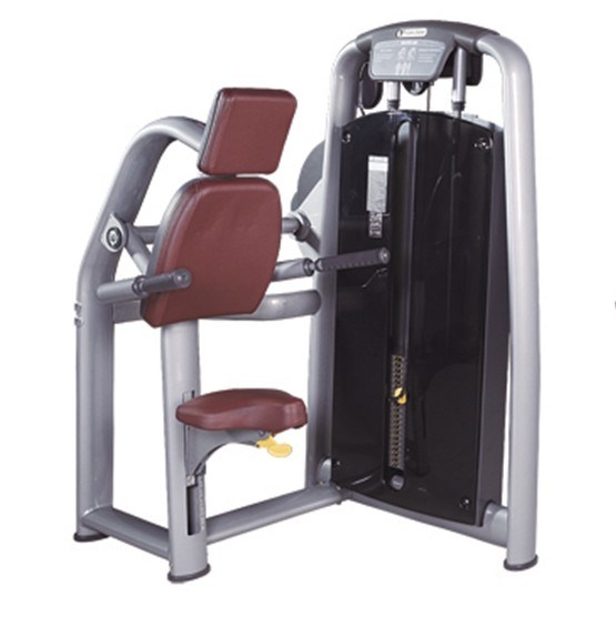 Tz-6050 Triceps DIP Gym Fitness/Wholsale Gym Triceps Exercise Machine/Strength Machine