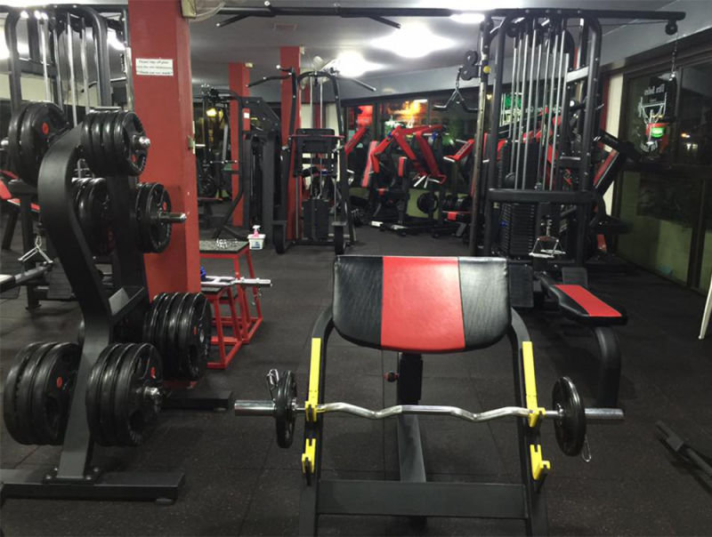 Gym Machines Body Exercise Seated Preacher Curl for Arm Curl