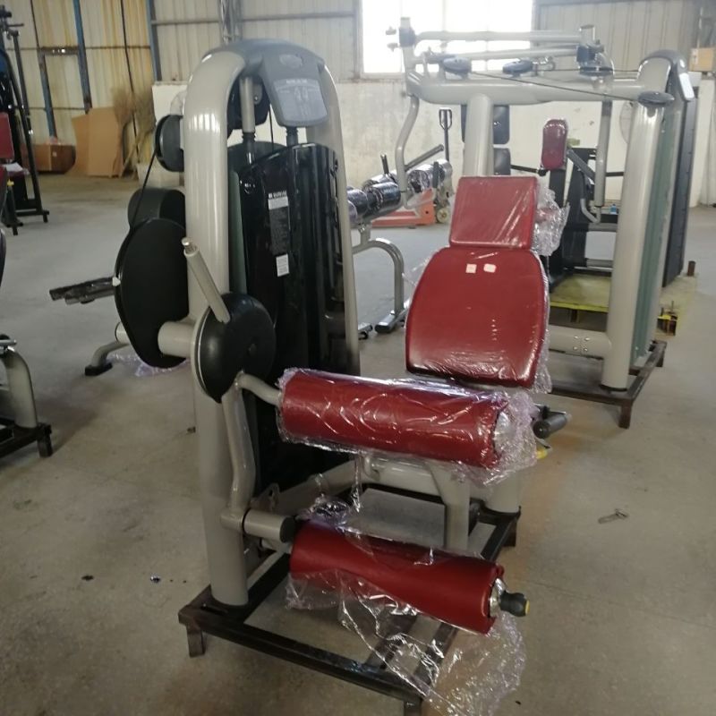 Shandong Factory Wholesale Seated Leg Curl Machine Gym Equipment