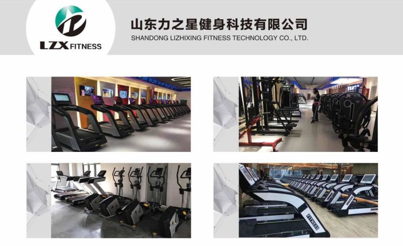 Commercial Gym Fitness Equipment Lzx-2016 Total Abdominal Isolator