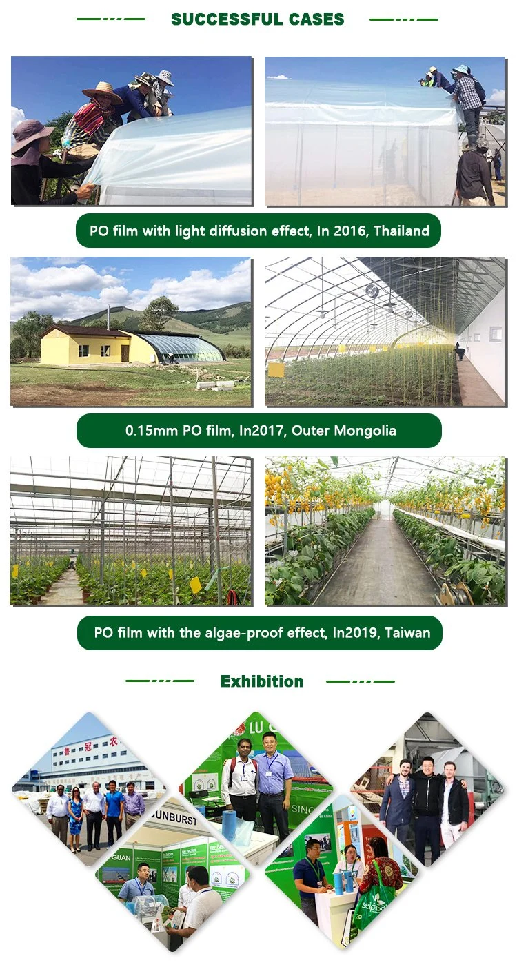 Vegetable Growing Greenhouse with Plastic Film