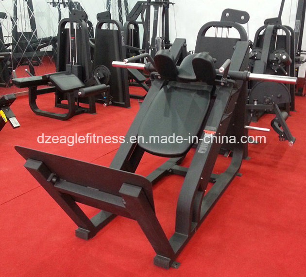 Dezhou Factory Precor Gym Fitness Equipment for Vertical Row