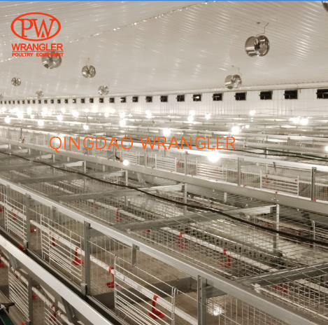H Type 3 Tiers 4 Tiers Automatic Broiler Battery Cage for Indonesia Market