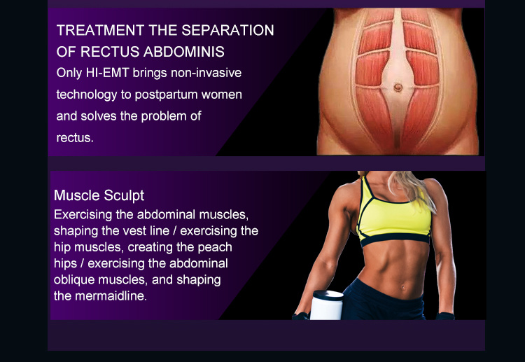 Arms Thighs Buttocks Belly Slimming Hi-EMT Beauty Slimming Machine Technology