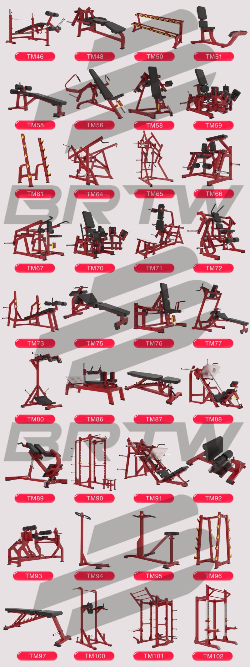 China Gym Club Bench Press/Gym Bench/ Weight Bench