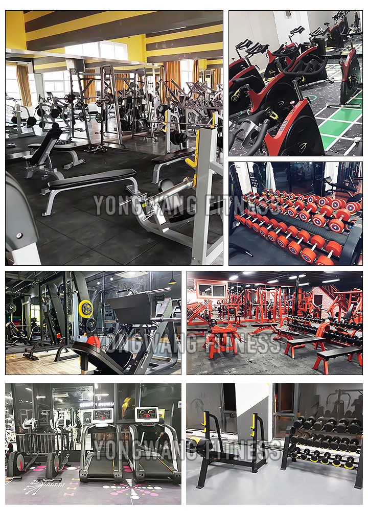 China Supplier Training Equipment Gym Vertical Row