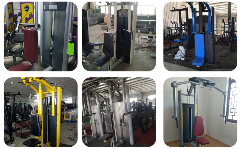 Low Price Seated Pec Rear Delt Butter Fly Pec Deck (Petrol Fly and Pec Deck)