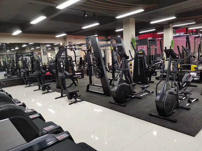 Px-1042 Commercial Fitness Strength Equipment / Gym Training Equipment