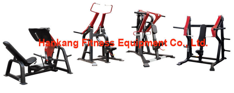 Body-Building, Commercial Strength, Gym equipment, Scott Bench-PT-709