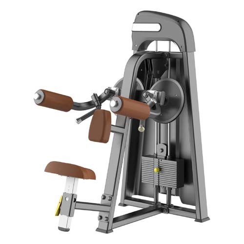 Stength Equipment Gym Machine Gym Equipment Waist Exercise Equipment Rotary Torso