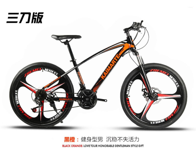 New Style Sport Cheap Mountain Bicycle Bike