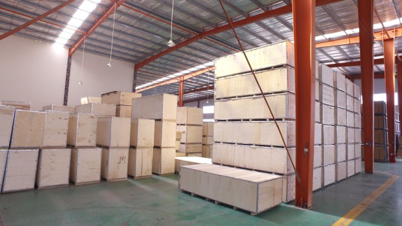 Commercial Gym Equipment/ Fitness Equipment/ Strength Equipment Low Row (LD-7080)